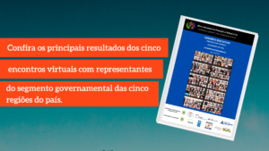 Sumário Executivo Processo Participativo – Encontros Virtuais